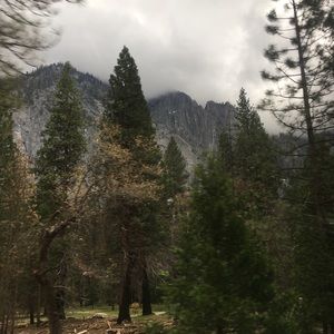 Meet your Posher, Gianna